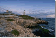 Rottnest Island, near Perth, Western Australia. Home Exchange