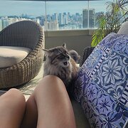 House Sitter - TT - happy pets and tidy homes!