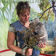 House Sitter - Katie O’Sullivan