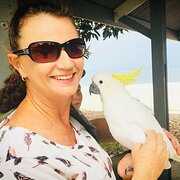 House Sitter - Semi-Retired married Aussie couple