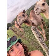 House Sitter - Animal Loving Travellers