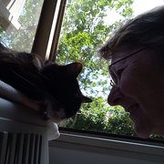 House Sitter - Your Reliable Caring Sitter