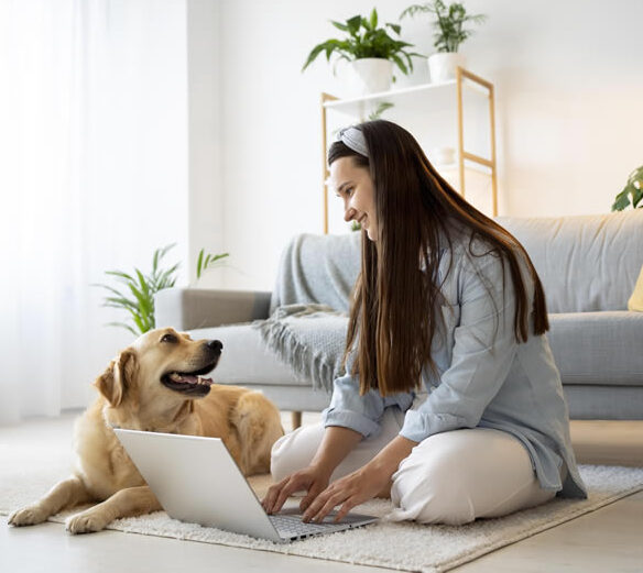 What motivates a house sitter?