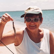 House Sitter - Reliable D