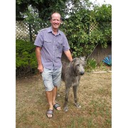 House Sitter - Glen - Responsible Mature Non Smoker