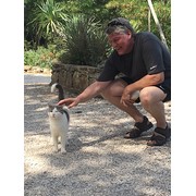 House Sitter - Caring Mature House Sitter