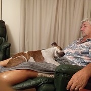 House Sitter - 3rd Age Adventures 