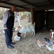 House Sitter - Anna and Tony