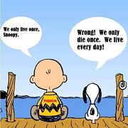 House Sitter - World's Our Oyster ⛵⛵⛵