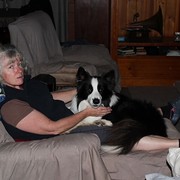 House Sitter - Katija