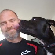 House Sitter - Mature and reliable pet lover