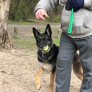 House Sitter - Rick - Non Smoker