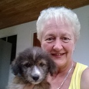 House Sitter - Annie