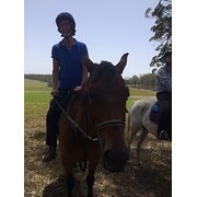 House Sitter - Available most NSW school holidays