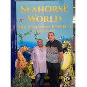 House Sitter - Neat and tidy, non smokers