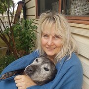 House Sitter - Heidi’s home and pet care