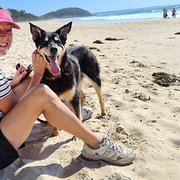 House Sitter - Mature couple with experience of caring 