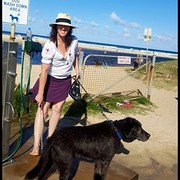 House Sitter - Attentively cared for homes and pets