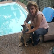 House Sitter - Ann