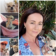 House Sitter - I love Chihuahuas & rainbows