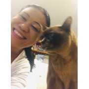 House Sitter - Kind, Caring & Clean Housesitter