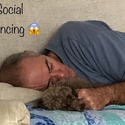 House Sitter - Friendly, reliable, professional