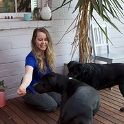 House Sitter - Reliable house and pet sitter