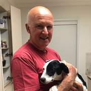 House Sitter - Retired couple embarking on adventure