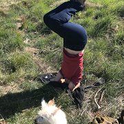 House Sitter - Tidy pet loving mature solo female 