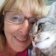 House Sitter - MATURE CARING HOUSE/PETSITTER/EAST COAST