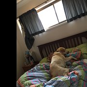 House Sitter - Jo and Wayne