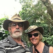 House Sitter - Kelnkaye