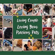 House Sitter - Loving Couple Loving Your Precious Pets