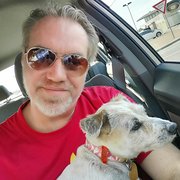 House Sitter - Animal Lover / House Carer