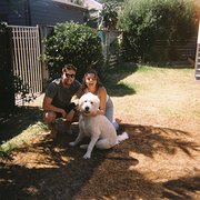 House Sitter - Kiwi Couple - Respectful & Reliable