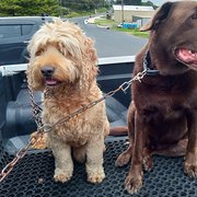 House Sitter - 2squatters