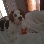 House Sitter - Marion & Greg