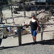 House Sitter - Retired Student Health Special Ed. 