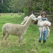 House Sitter - Quiet, Country Animal Lover.