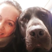 House Sitter - Experienced, friendly pet & house sitter