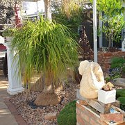 House Sitter -  Enjoy Australia 