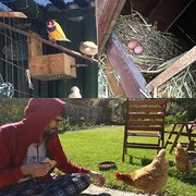 House Sitter - Lina & Pablo