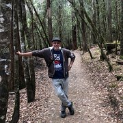 House Sitter - Experienced Farm, House Pet sitter