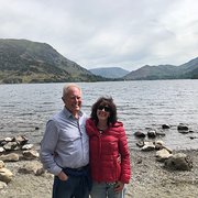 House Sitter - Experienced, reliable animal lovers.