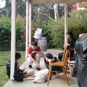 House Sitter - Adelaide Hills Housesitter