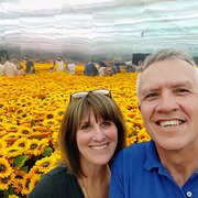 House Sitter - Reliable, caring house and pet sitters