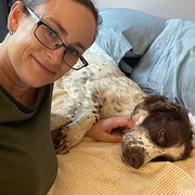 House Sitter - Where the wind blows me