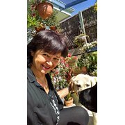 House Sitter - 5* House & Pet Minder 24/7, mature Lady.