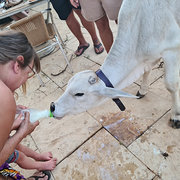 House Sitter - Brian and Sue Mercer