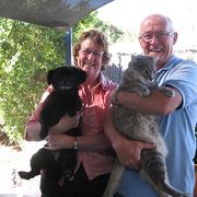 House Sitter - Bruce & Jenny